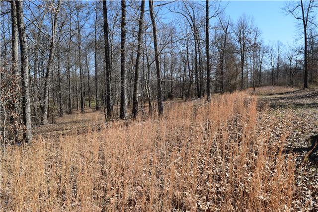24 Spring Meadows Lane Morrison, TN 37357 - Photo 1 of 3