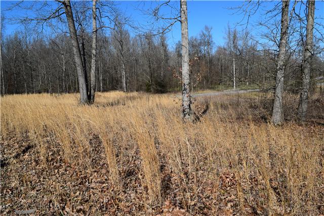 24 Spring Meadows Lane Morrison, TN 37357 - Photo 2 of 3