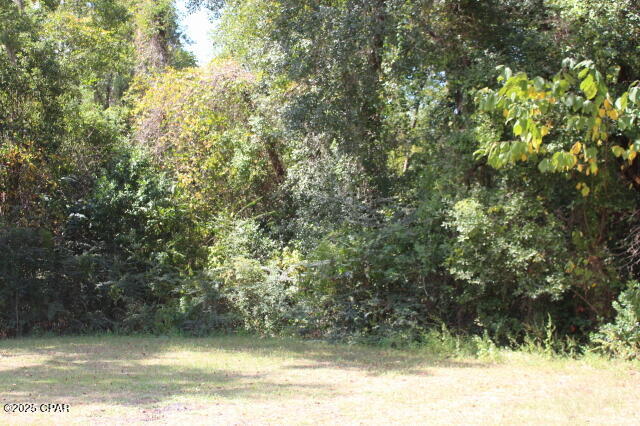 0 Northwest Hall Circle Bristol, FL 32321 - Photo 16 of 17