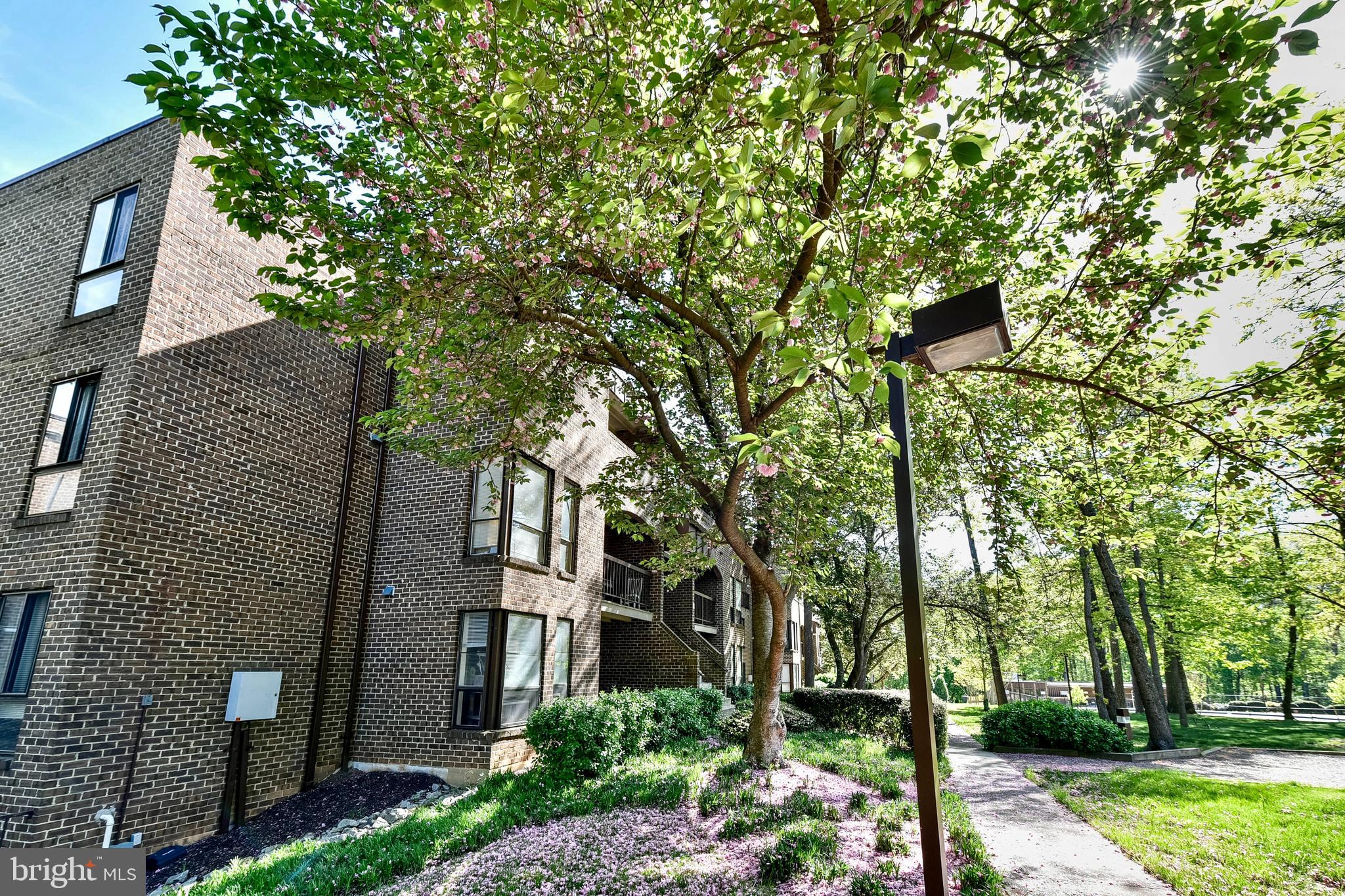 11256 Chestnut Grove Square, Unit 243 Reston, VA 20190 - Photo 18 of 21 Gallery Image 18
