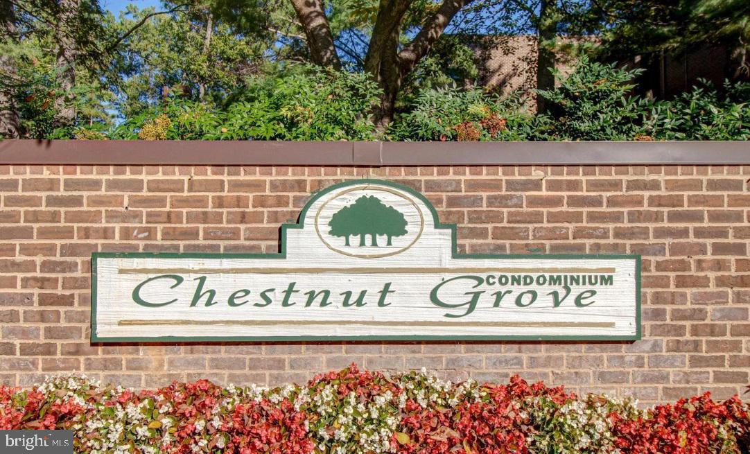 11256 Chestnut Grove Square, Unit 243 Reston, VA 20190 - Photo 21 of 21 Gallery Image 21