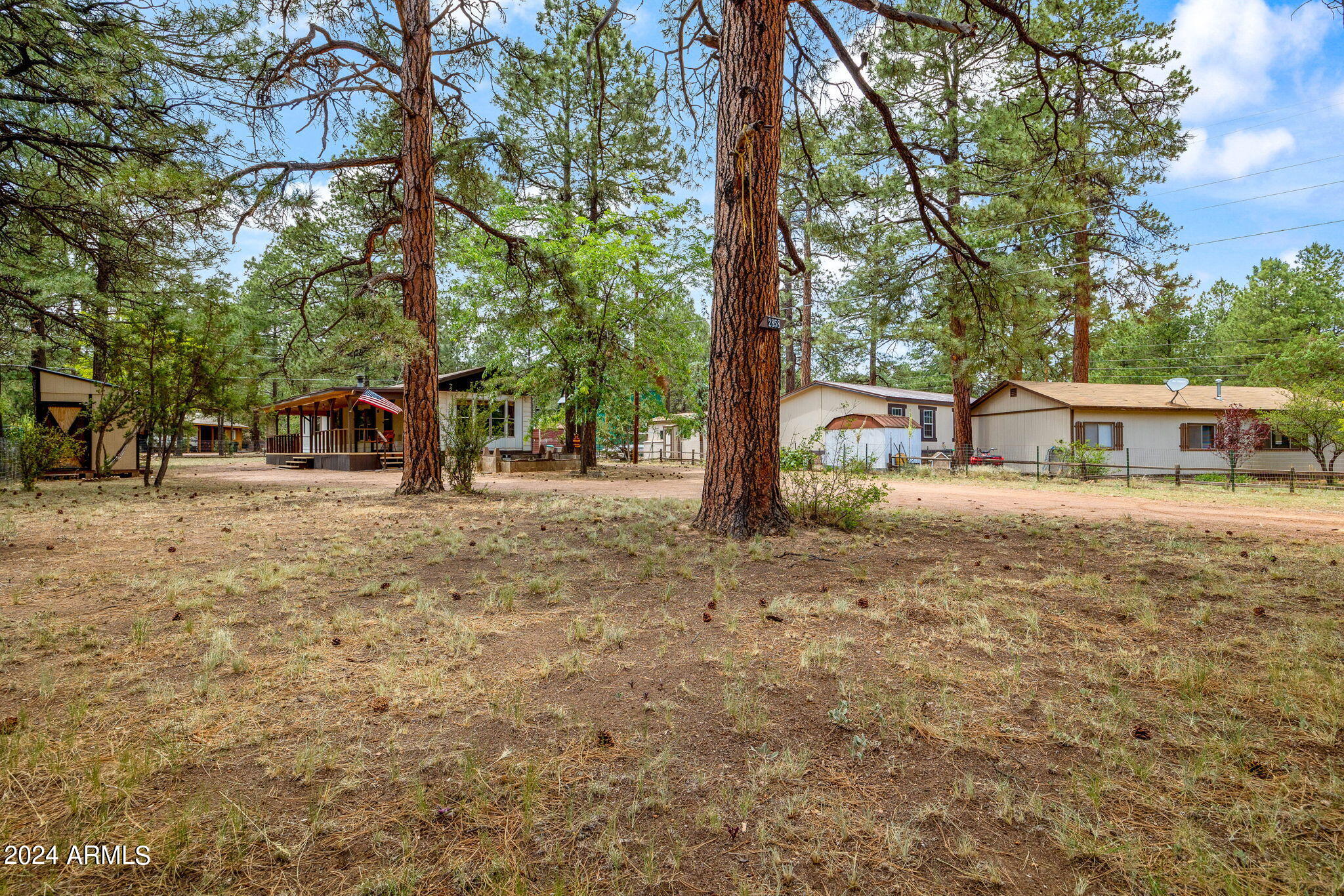 2858 Long Rifle Place Overgaard, AZ 85933 - Photo 20 of 28 TALL PINES ON LOT