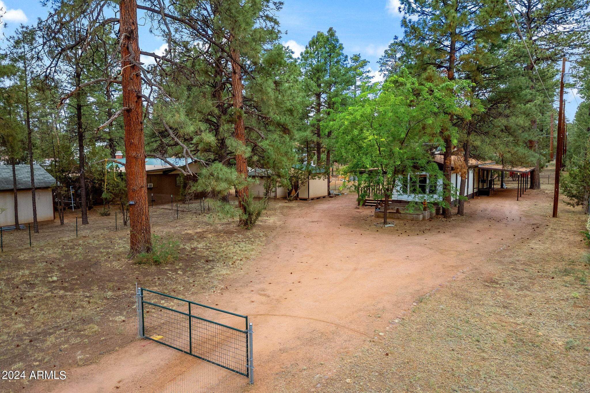2858 Long Rifle Place Overgaard, AZ 85933 - Photo 25 of 28 FENCED YARD