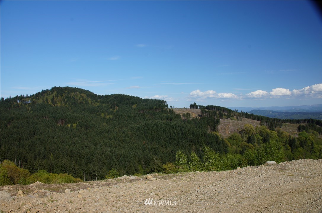 329 Shirley Gordon Road Kalama, WA 98625 - Photo 8 of 12 Gallery Image 8