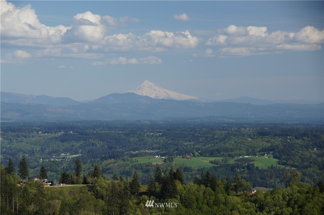 329 Shirley Gordon Road Kalama, WA 98625 - Photo 10 of 12 Gallery Image 10