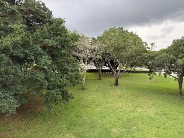 a view of a swimming pool and trees in the background