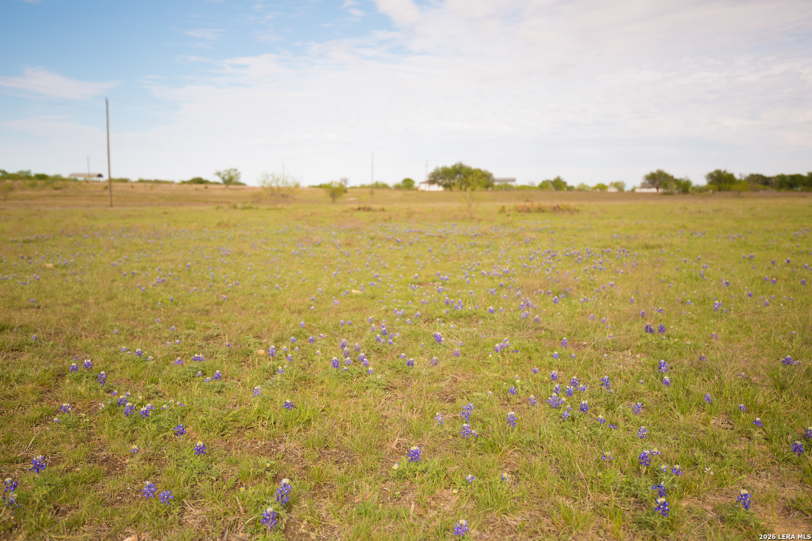 1843 Savanna Ridge Ranch Road Lometa, TX 76853 - Photo 13 of 24 Gallery Image 13