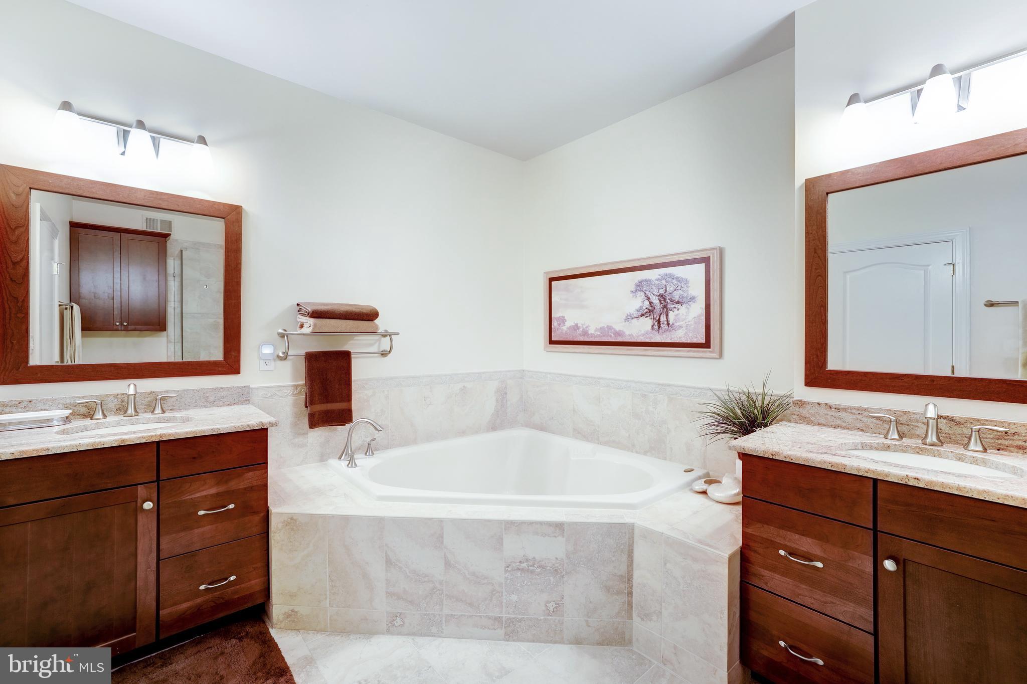 20135 Valhalla Square Ashburn, VA 20147 - Photo 21 of 41 a bathroom with a tub double vanity sink and a mirror