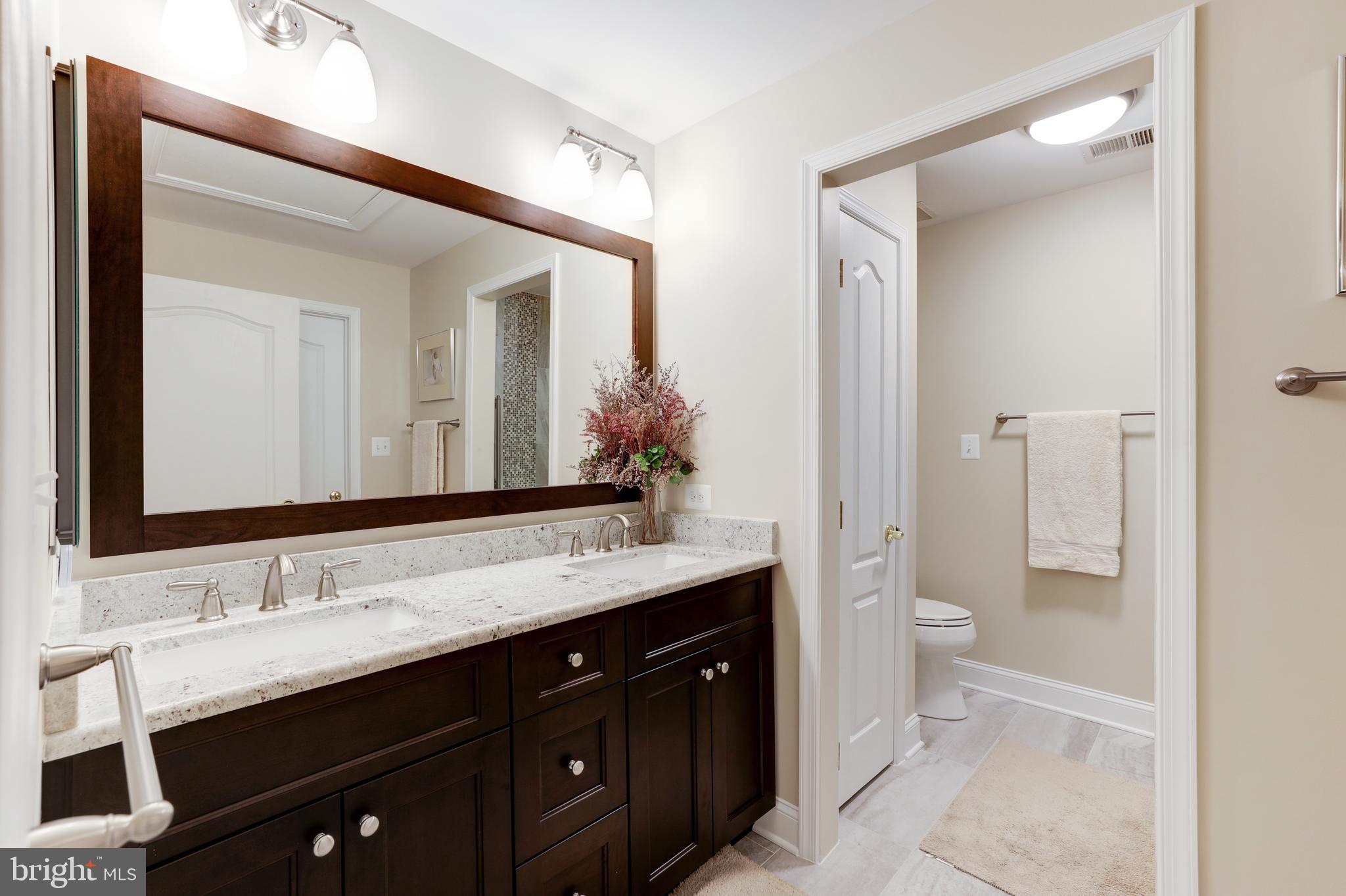 20135 Valhalla Square Ashburn, VA 20147 - Photo 30 of 41 a bathroom with a granite countertop sink and a mirror
