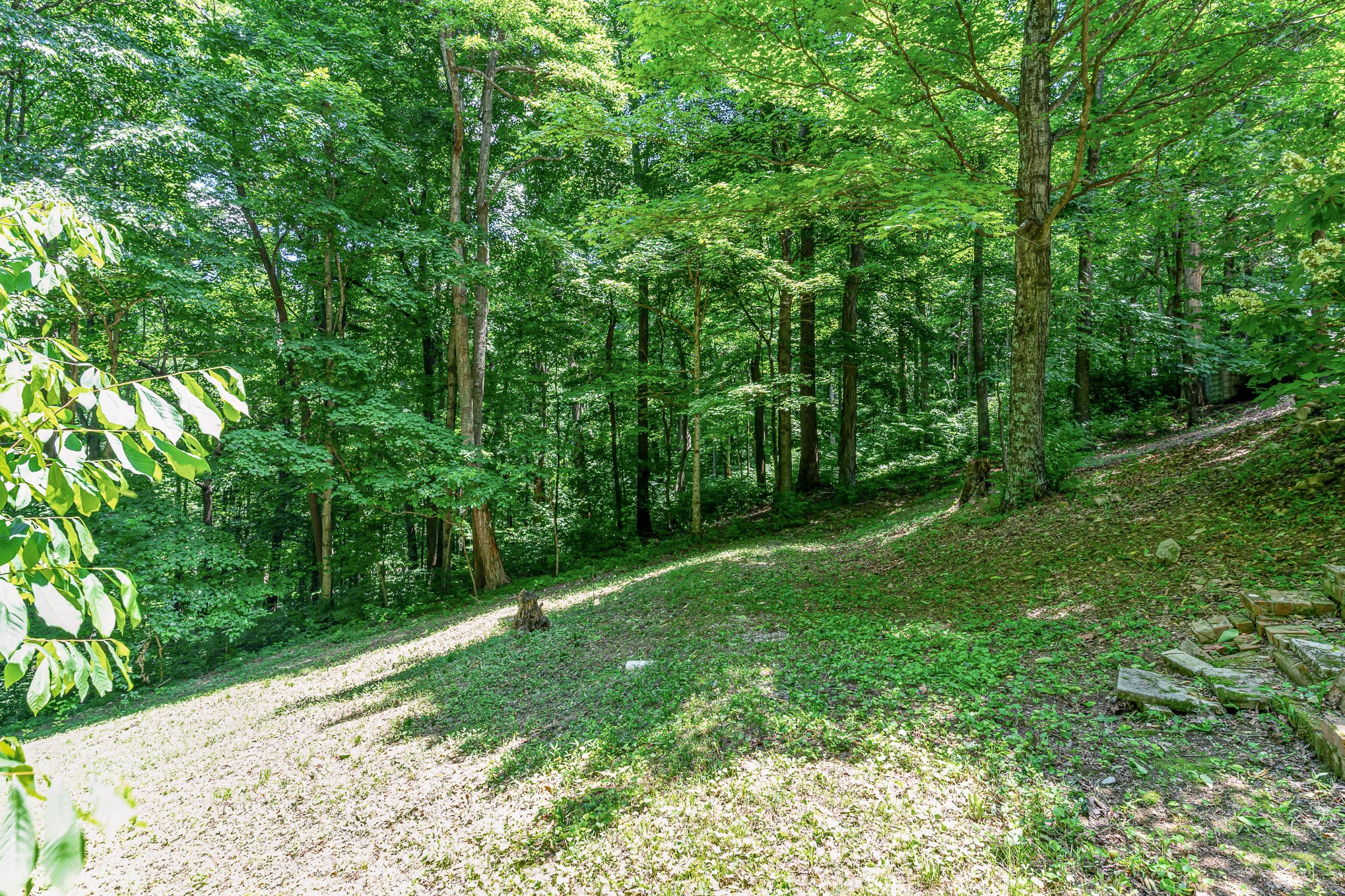 1102 Dora Whitley Road Franklin, TN 37064 - Photo 35 of 42 a view of a yard with a trees