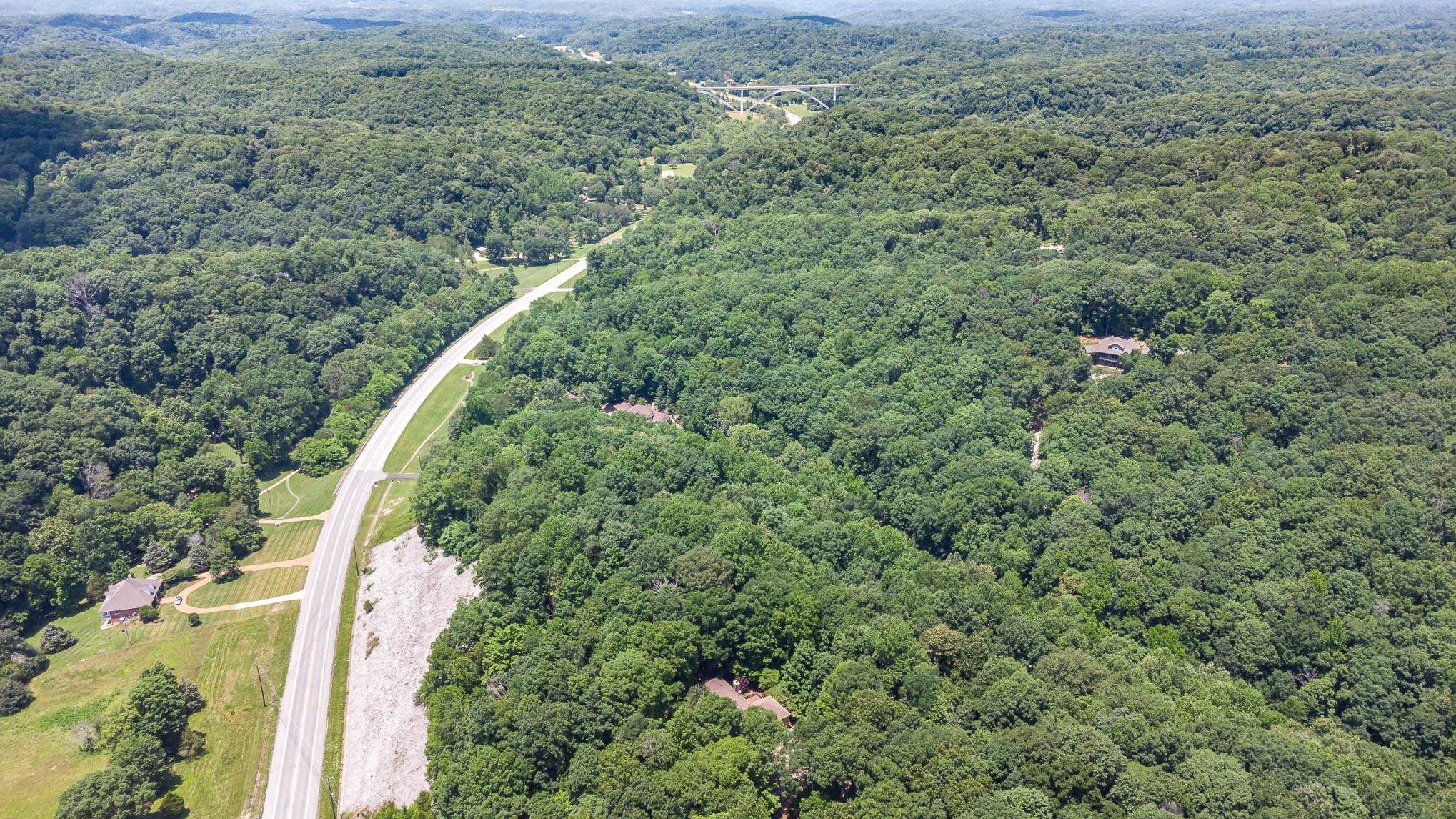 1102 Dora Whitley Road Franklin, TN 37064 - Photo 41 of 42 a view of a forest with a street