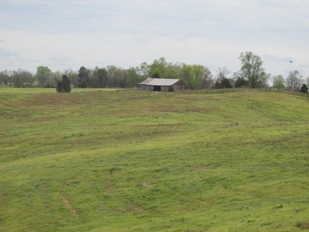 Fairview Church Road Smiths Grove, KY 42171 - Photo 20 of 34 Gallery Image 20