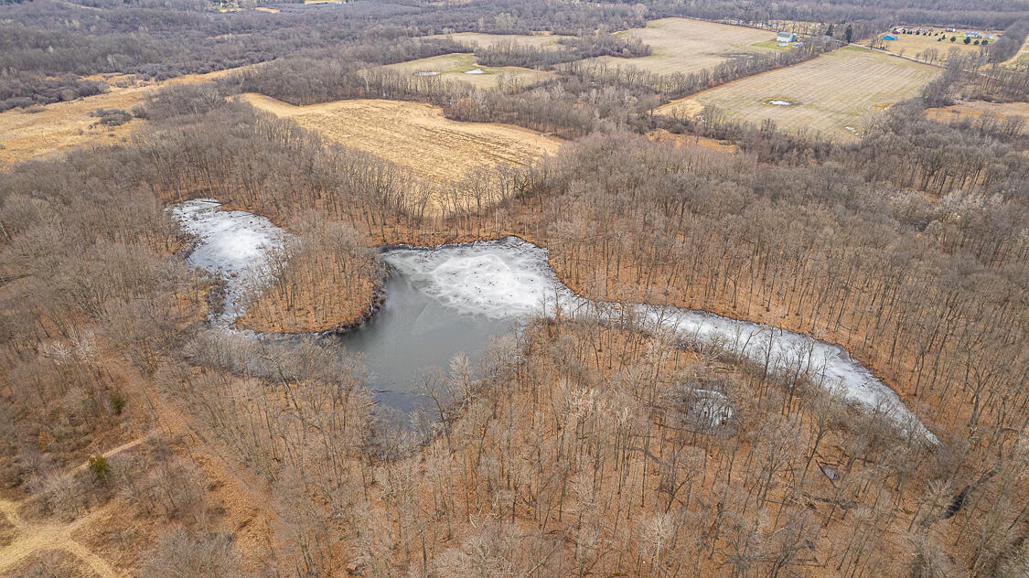4678 Springport Road Jackson, MI 49201 - Photo 15 of 80 1 pond and property Aerials - 4678 Sprin