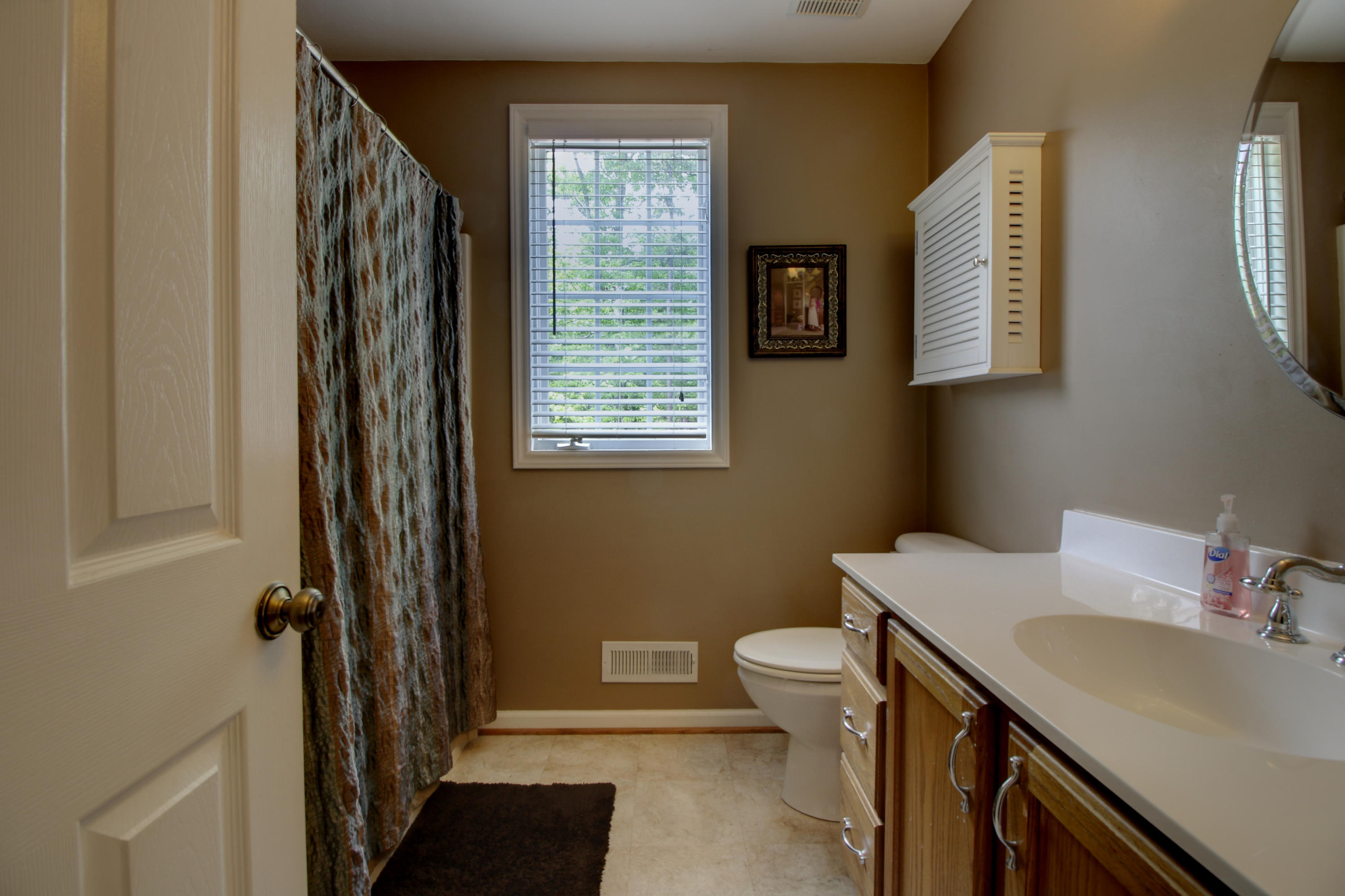 1335 Woodhaven Estates Road Blue Ridge, VA 24064 - Photo 30 of 45 a bathroom with a sink and a toilet