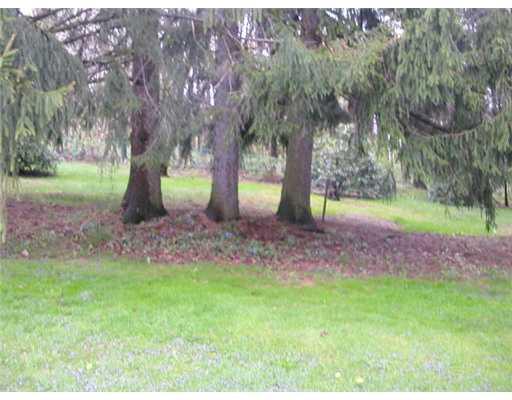 286 Macdonaldton Road Berlin, PA 15530 - Photo 3 of 7 Land/Lot.
