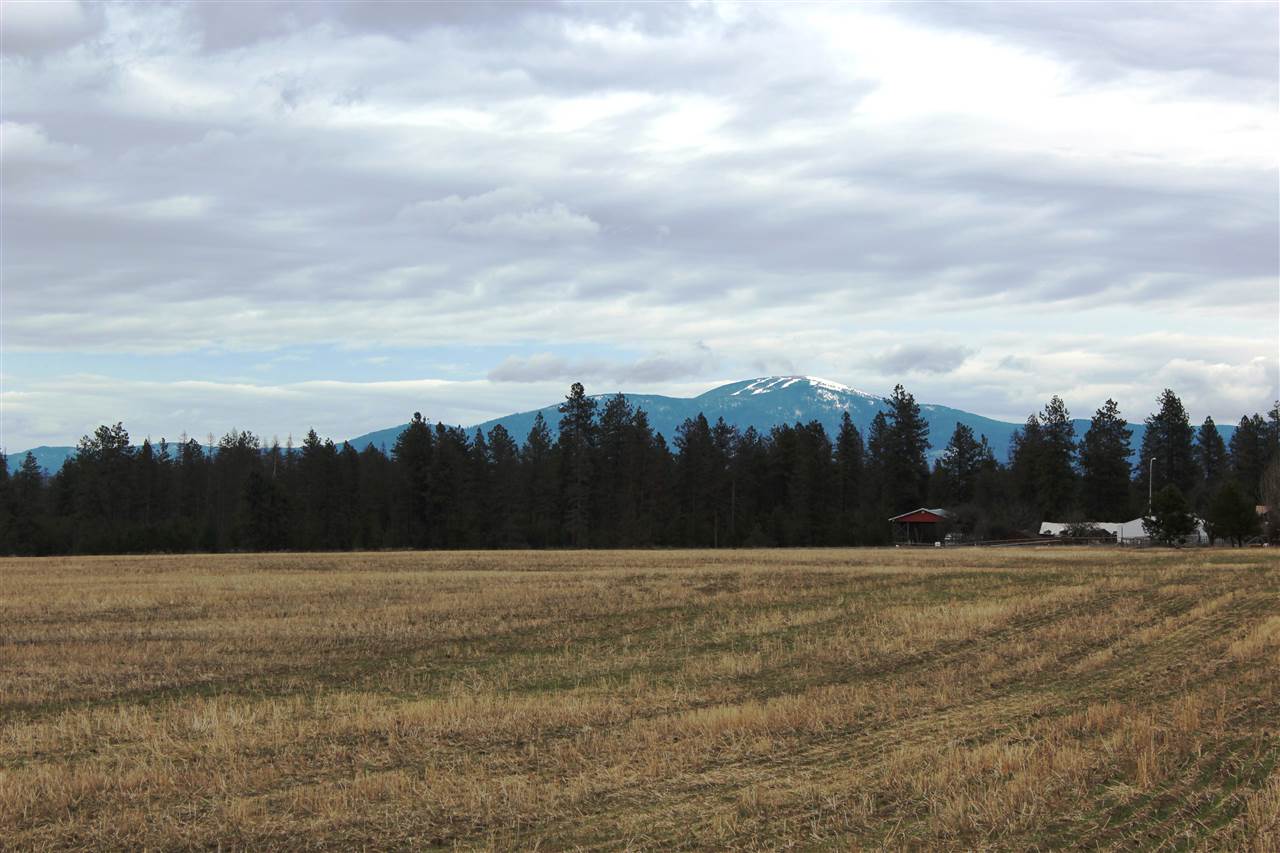 942 West Wild Rose Road Colbert, WA 99005 - Photo 1 of 9