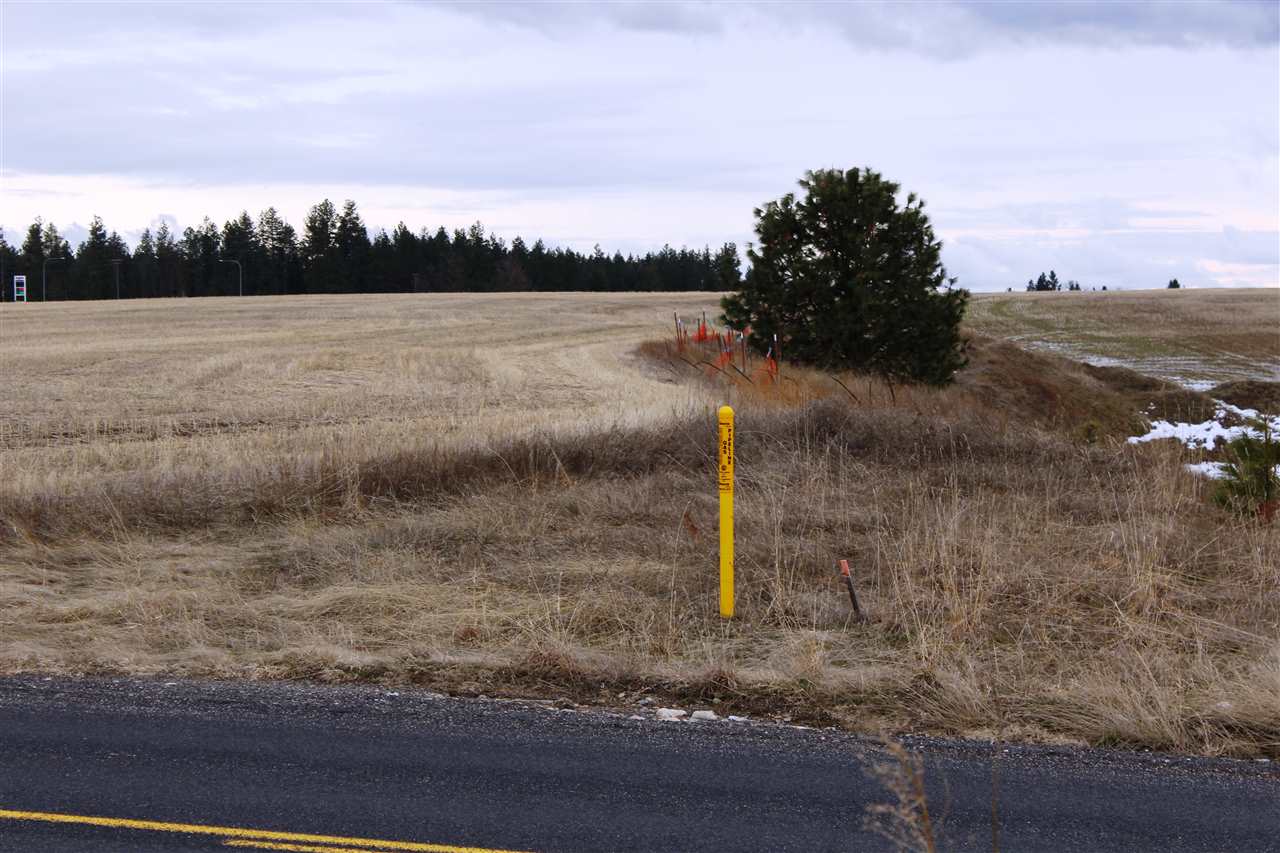 942 West Wild Rose Road Colbert, WA 99005 - Photo 4 of 9