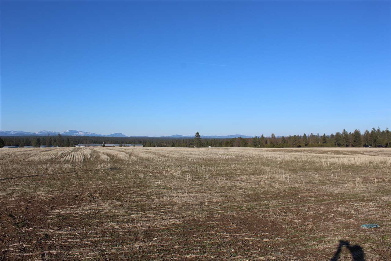 942 West Wild Rose Road Colbert, WA 99005 - Photo 6 of 9