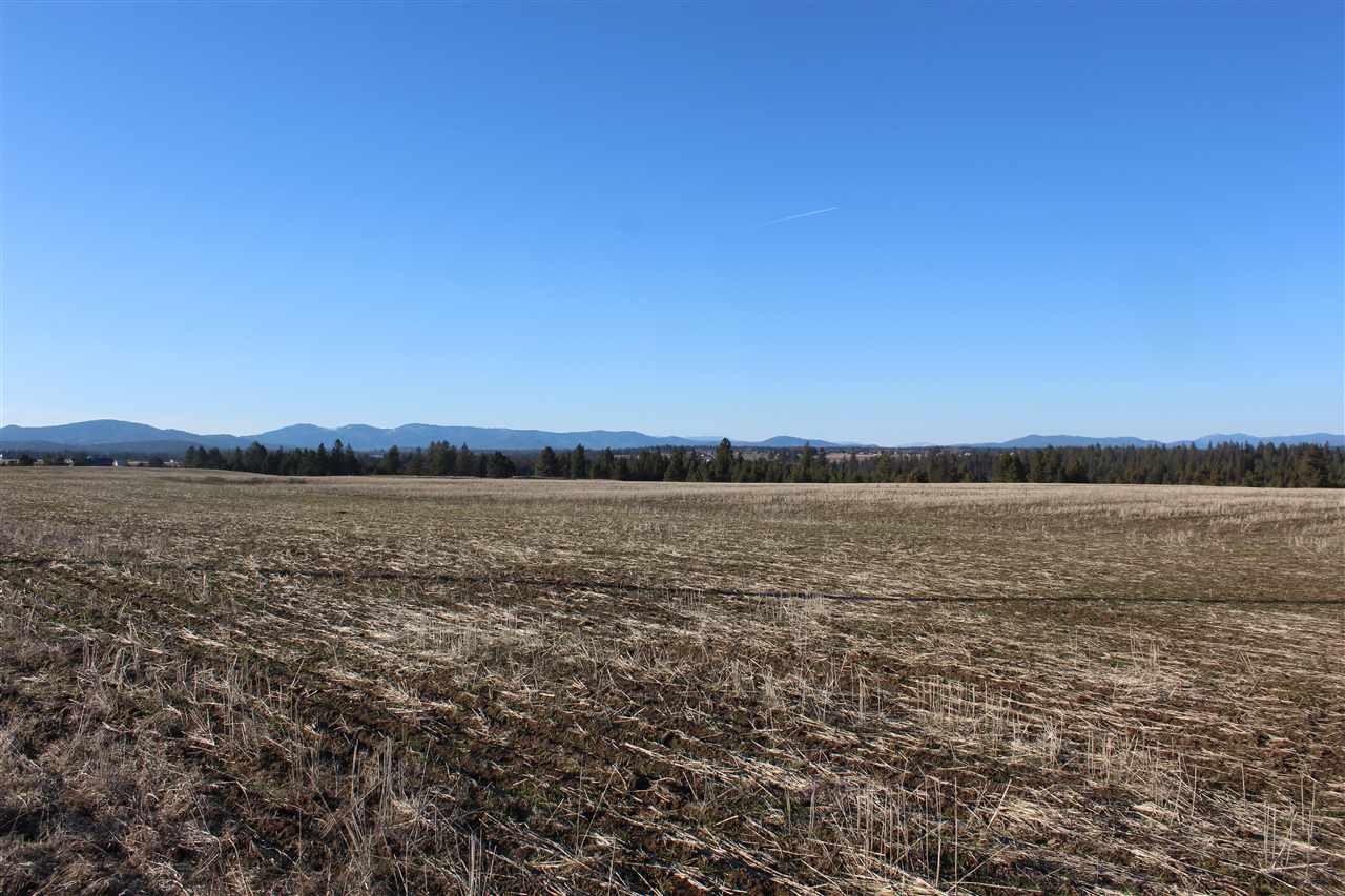 942 West Wild Rose Road Colbert, WA 99005 - Photo 8 of 9