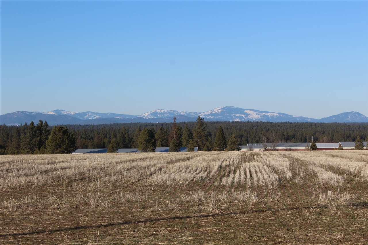 942 West Wild Rose Road Colbert, WA 99005 - Photo 9 of 9