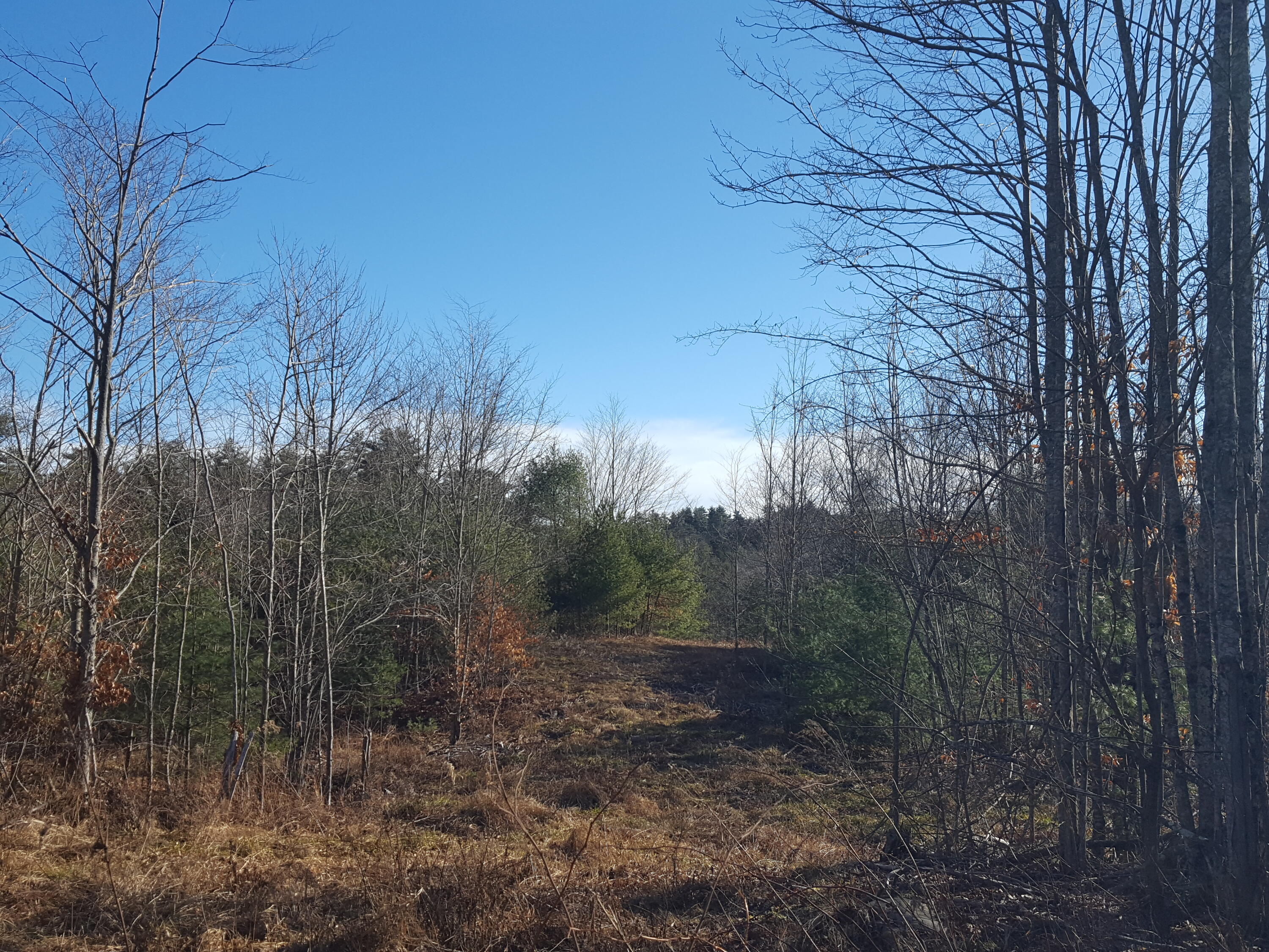 88 Mitchell Hill Road Gorham, ME 04038 - Photo 58 of 99 20231220_114932