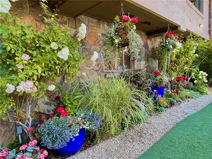 a view of a yard in front of house