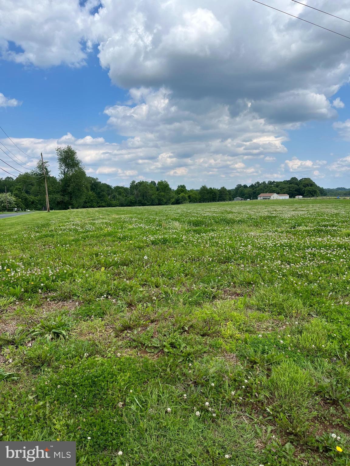 1814 Poole Road Darlington, MD 21034 - Photo 11 of 53 6 acres not fenced.