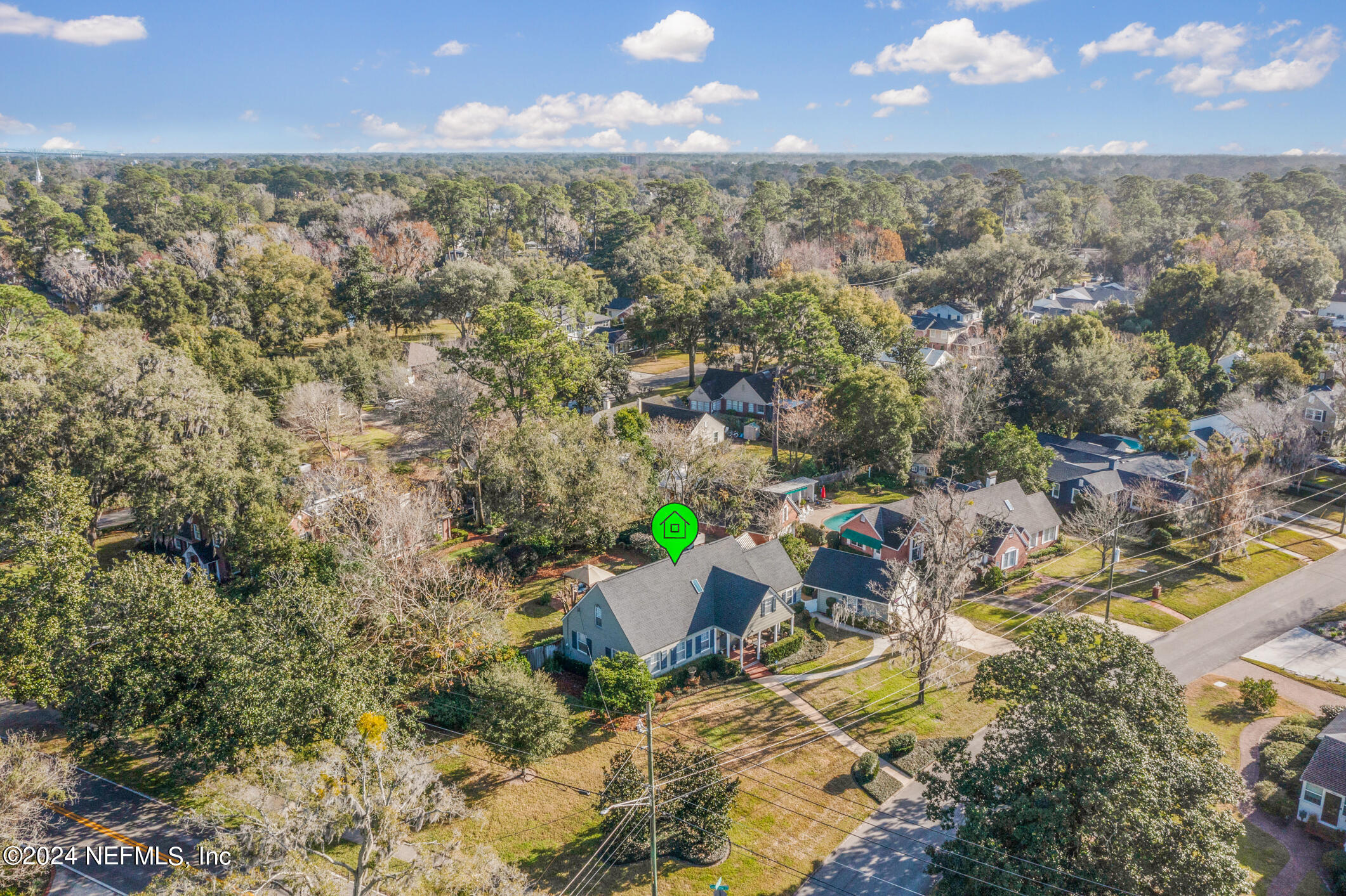 1111 Greenridge Road Jacksonville, FL 32207 - Photo 65 of 73 AERIAL VIEW