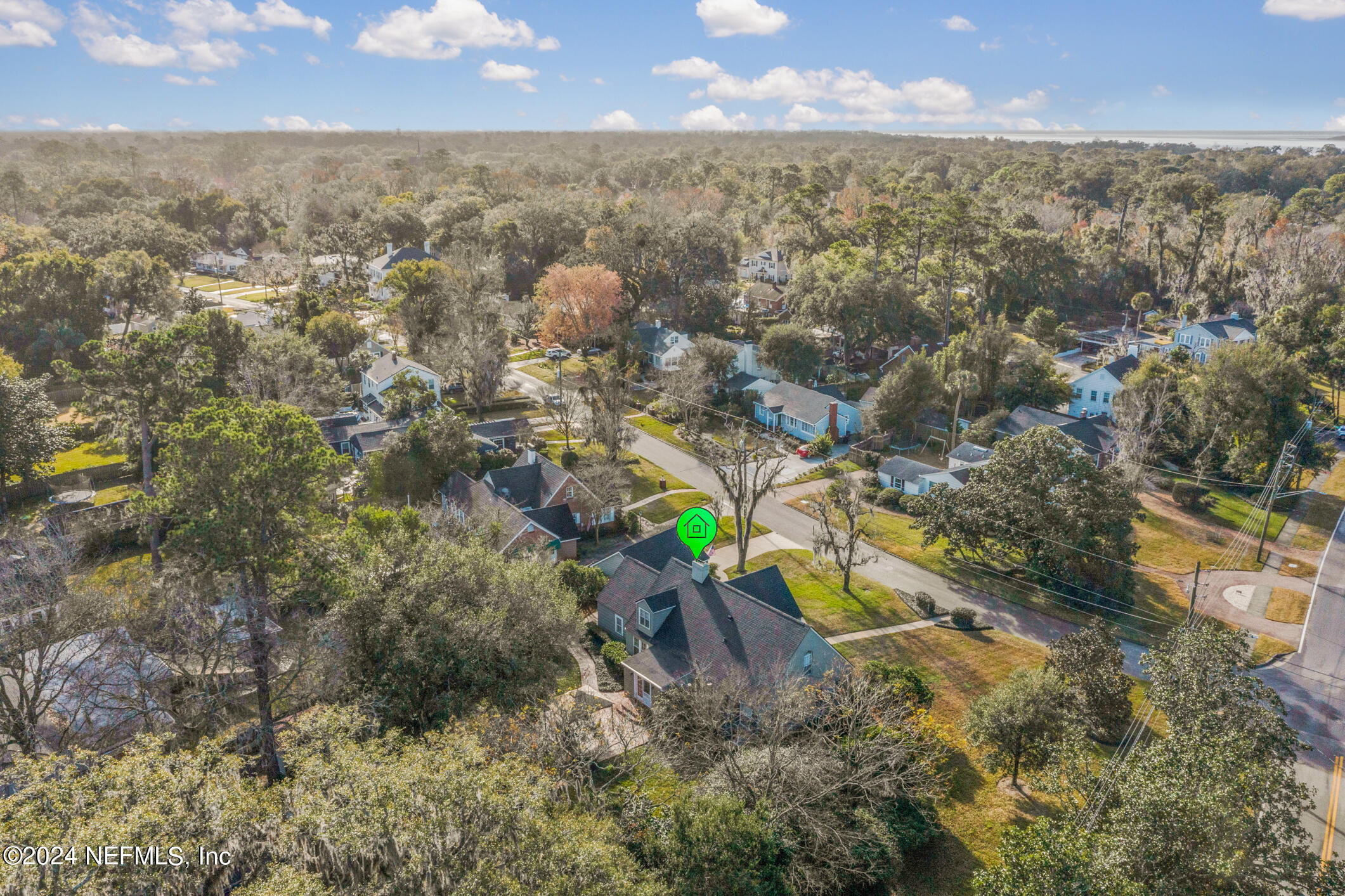 1111 Greenridge Road Jacksonville, FL 32207 - Photo 66 of 73 AERIAL VIEW