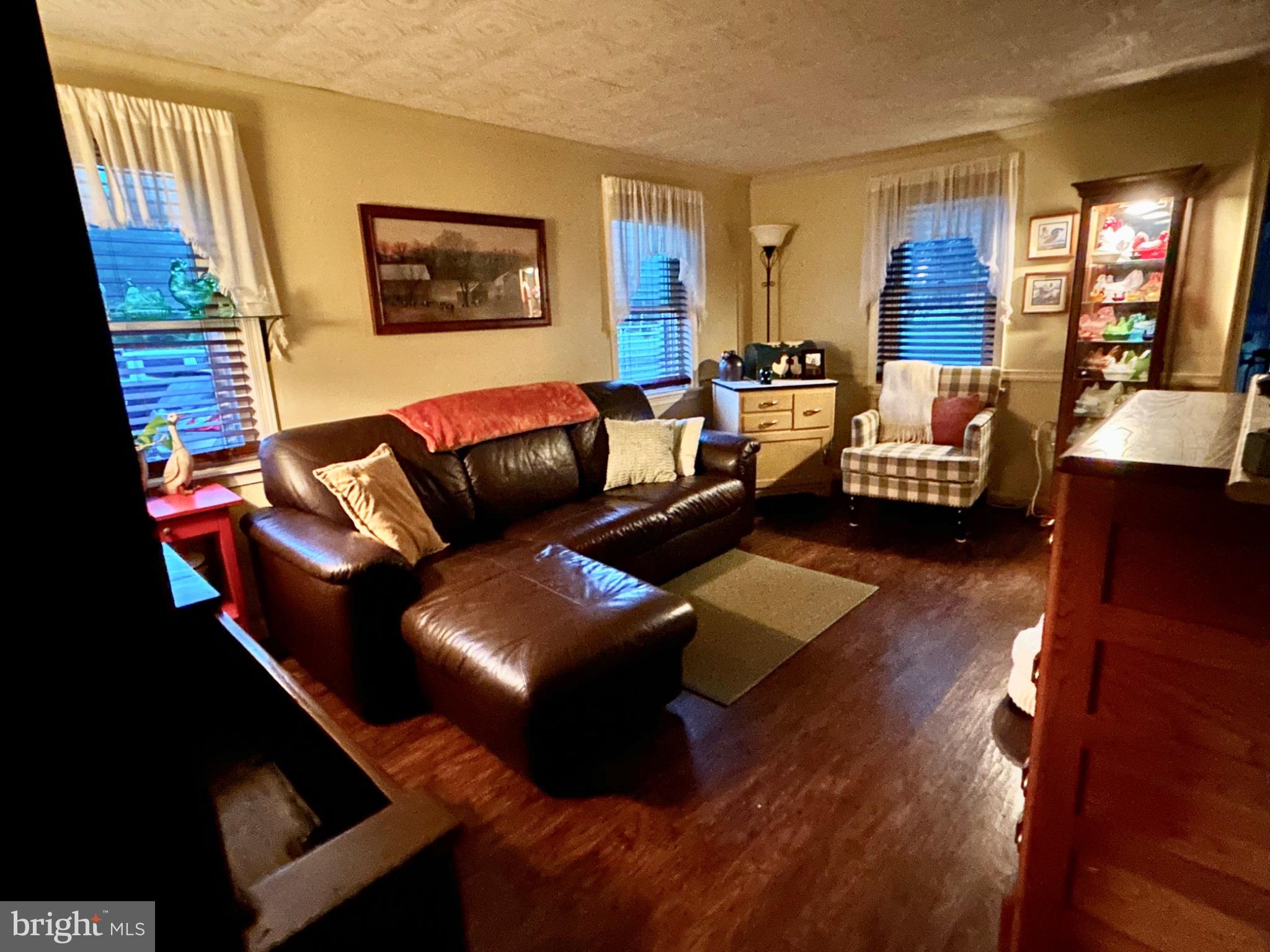 26317 Fire Tower Road Laurel, DE 19956 - Photo 9 of 22 Cozy living space with warm ambiance.