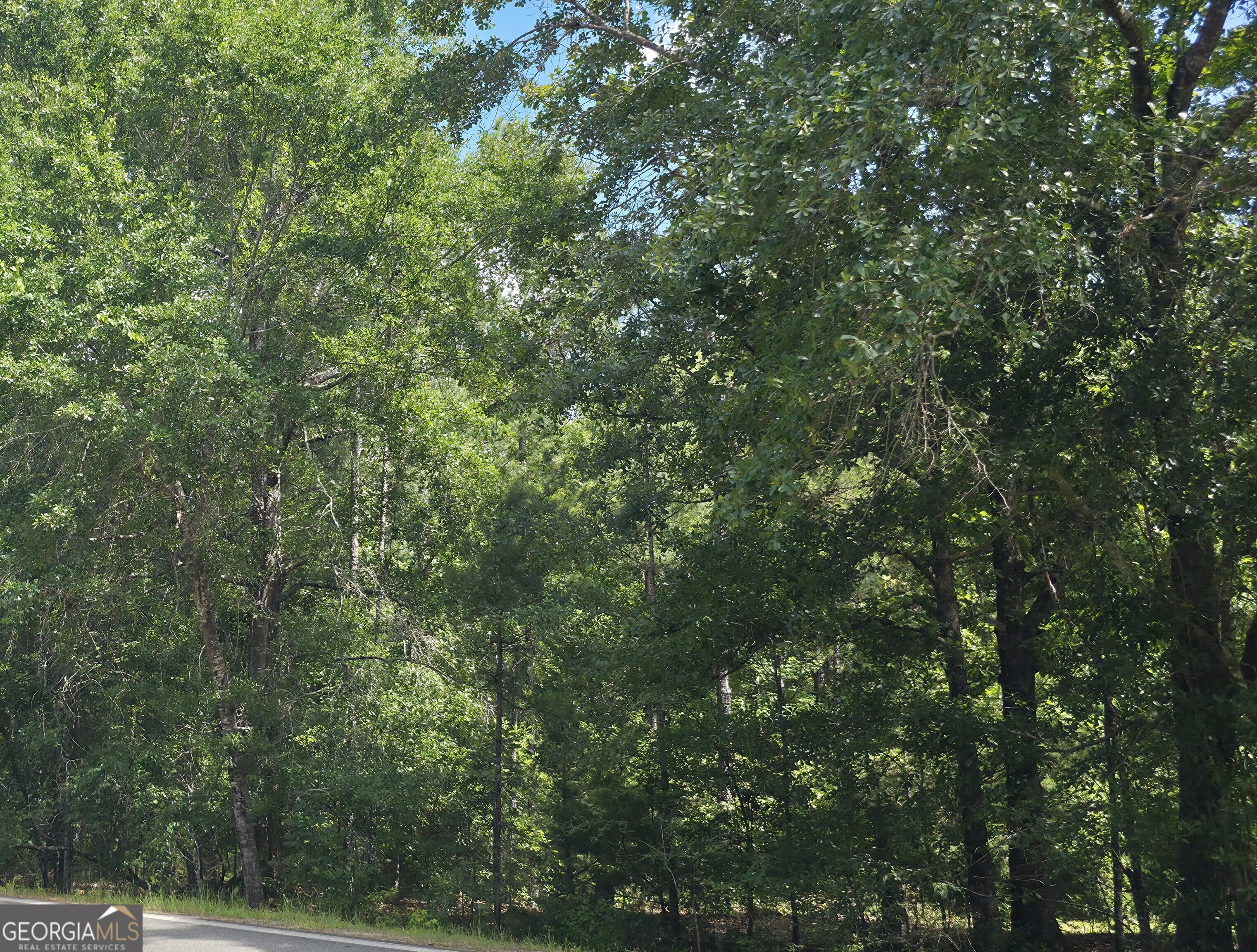 0 Bowen Hill Road Haddock, GA 31033 - Photo 3 of 4