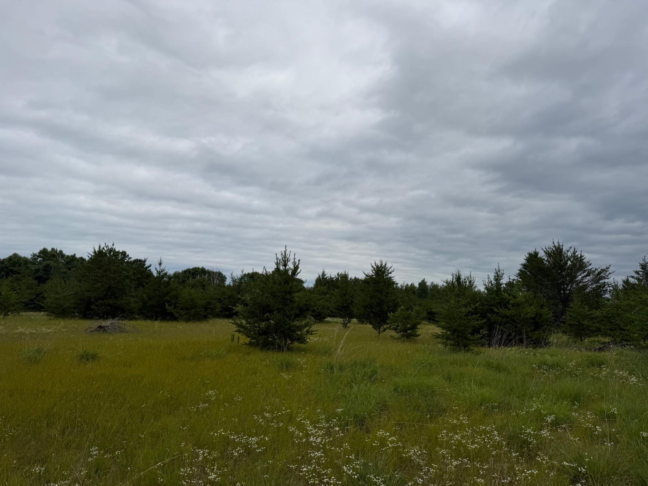Tbd 350th Street Sebeka, MN 56477 - Photo 78 of 100