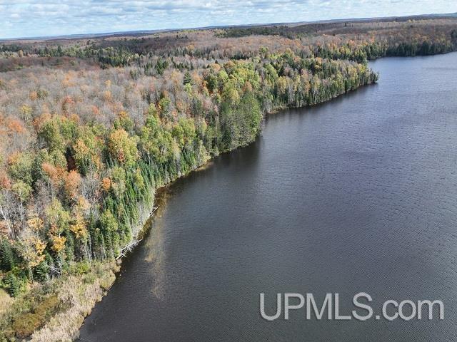 5800 Wolf Lake Road Watersmeet, MI 49969 - Photo 7 of 86