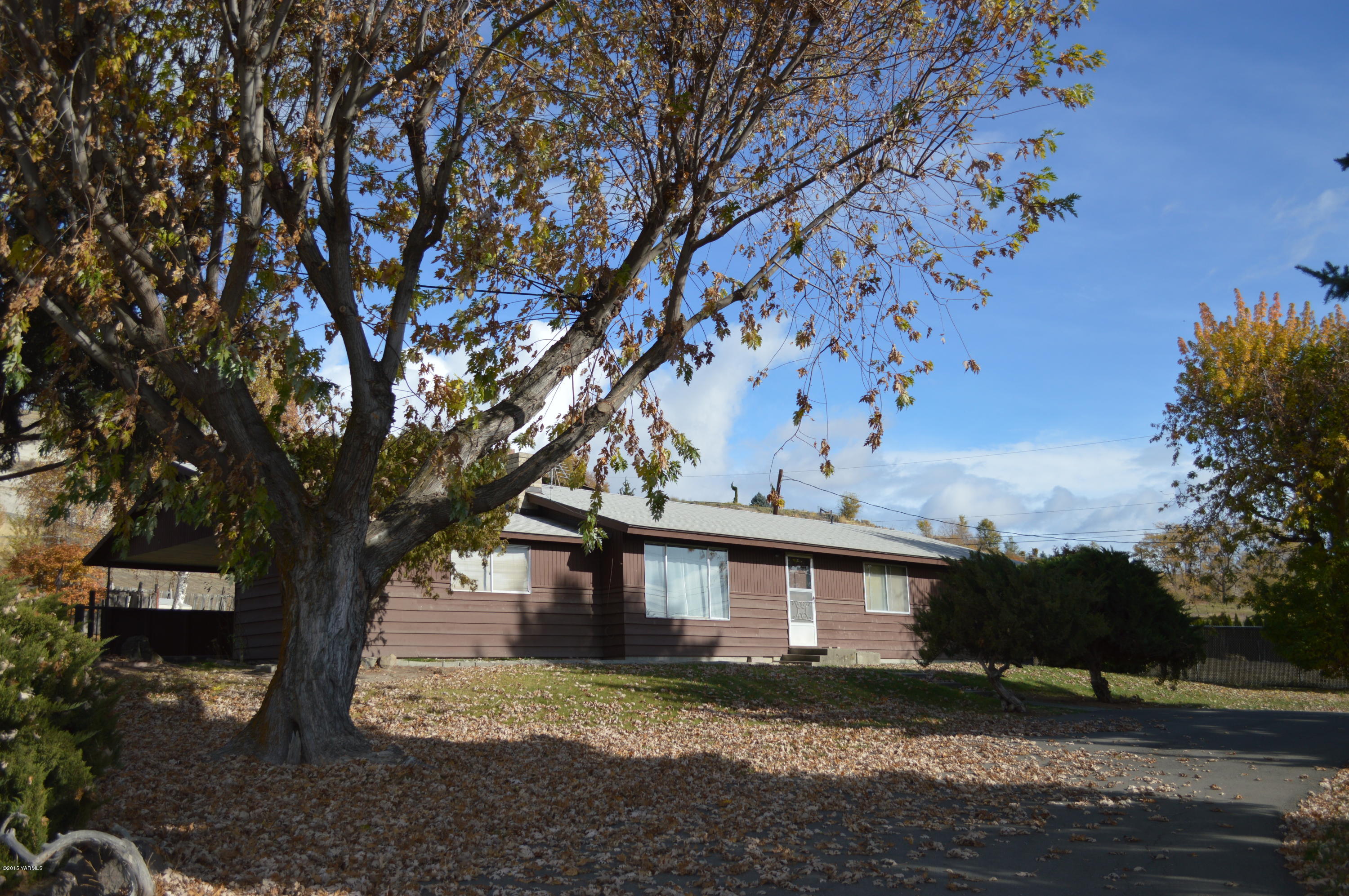 a tree in the house next to a yard