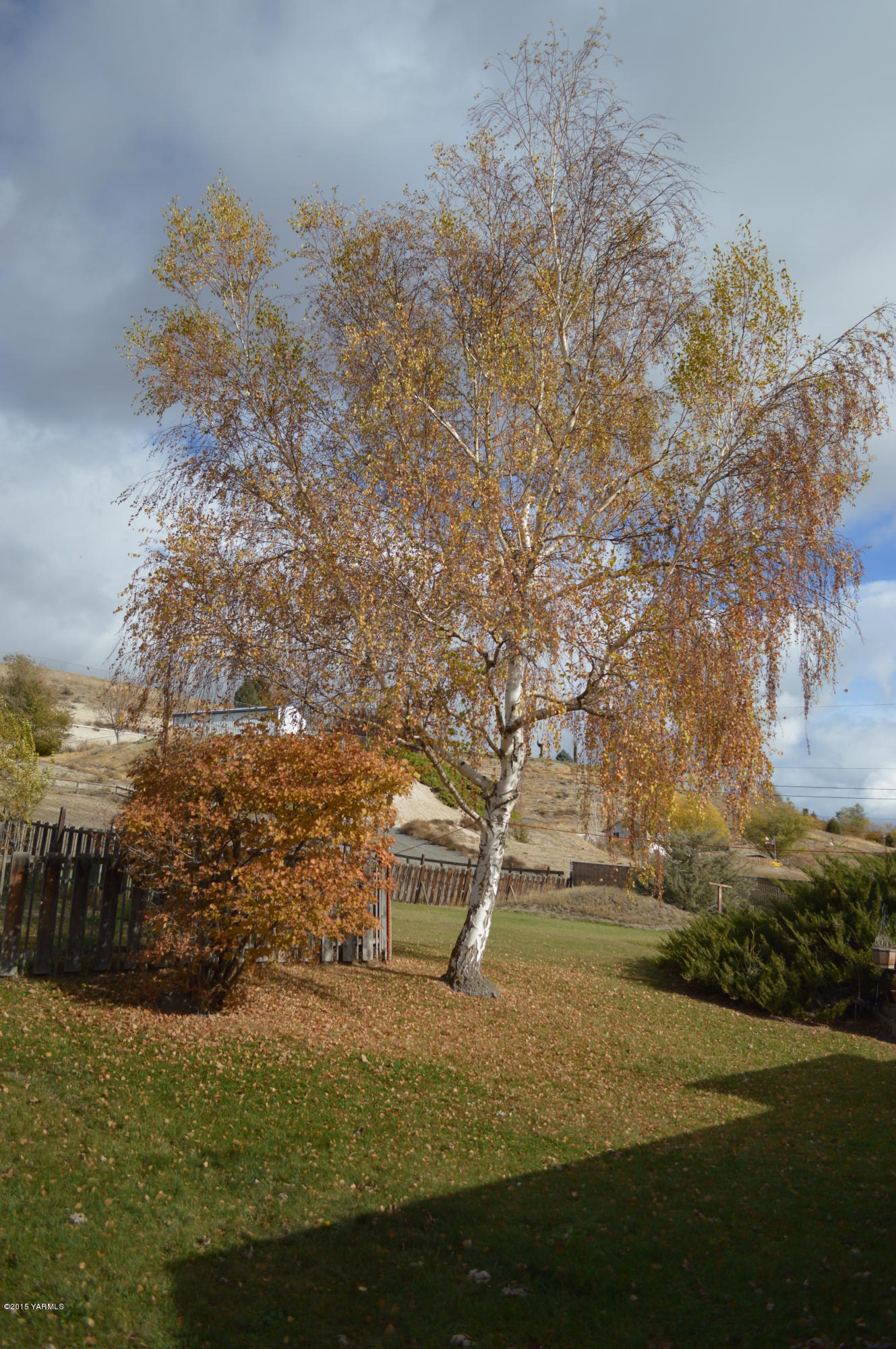 781 Collins Road Selah, WA 98942 - Photo 19 of 23 a view of outdoor space and yard