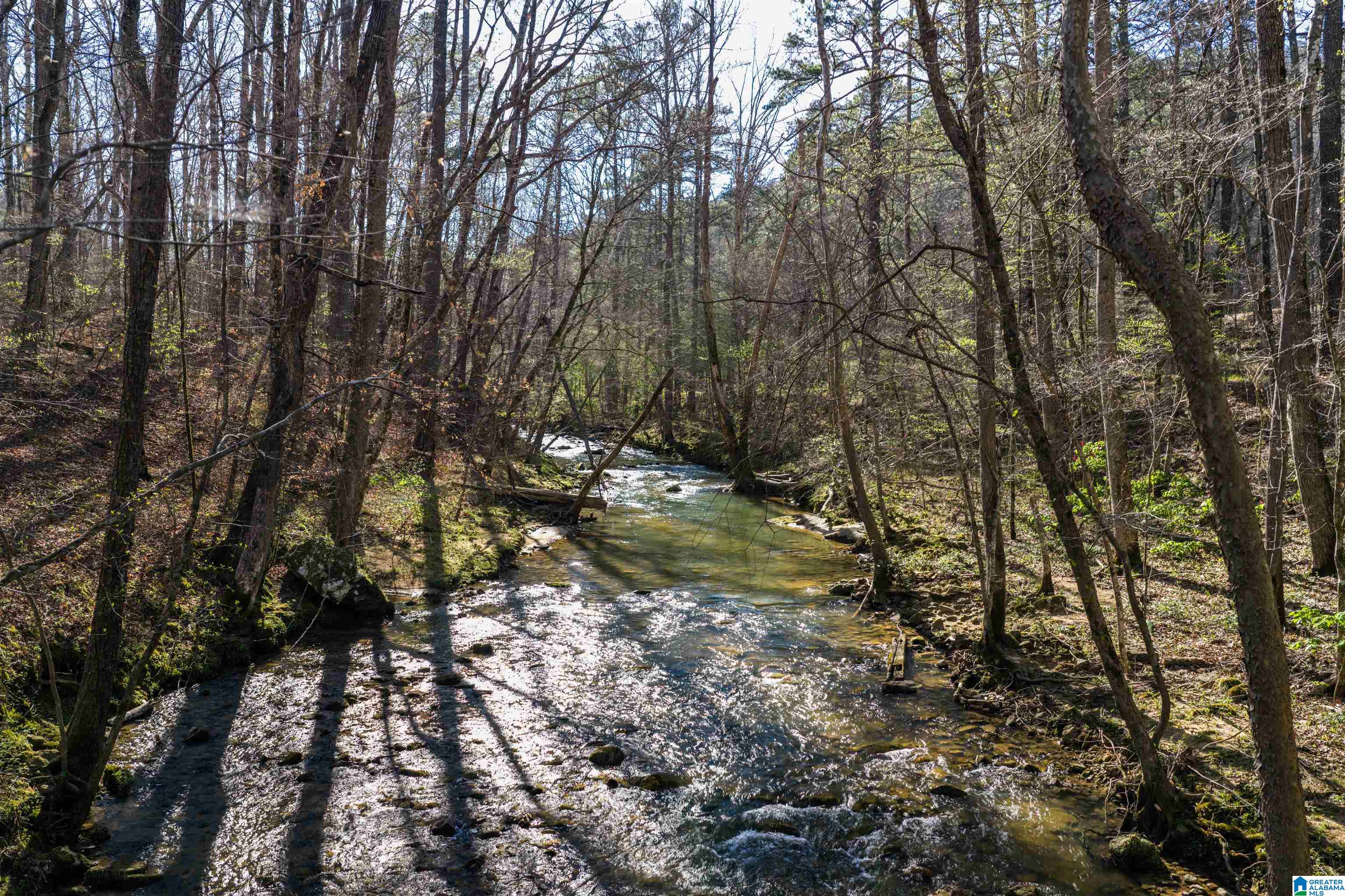 100 Randolph Road Hayden, AL 35079 - Photo 72 of 73