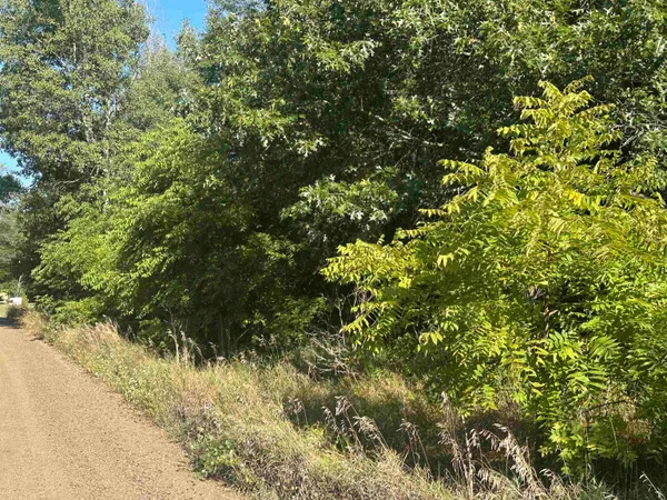 $75,000 | Lot 26-30 Willow Street, Lake, MI 48632