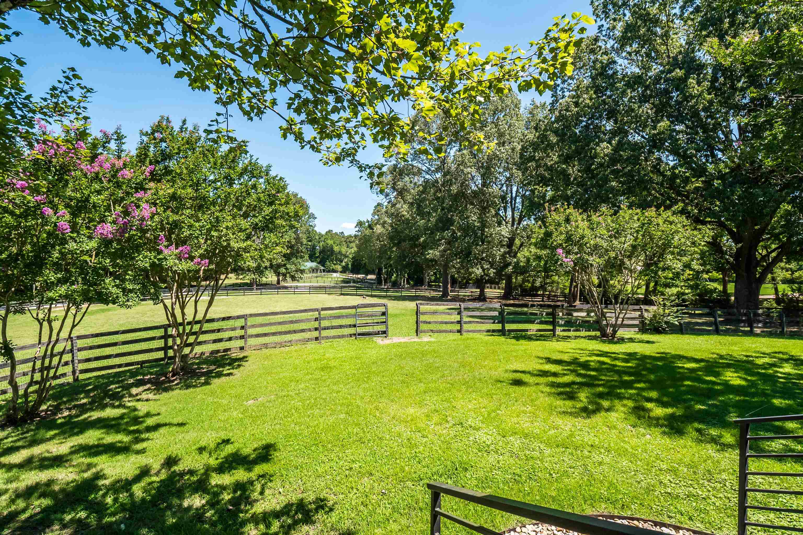 11830 Monterey Road Eads, TN 38028 - Photo 30 of 40 View of yard with a rural view