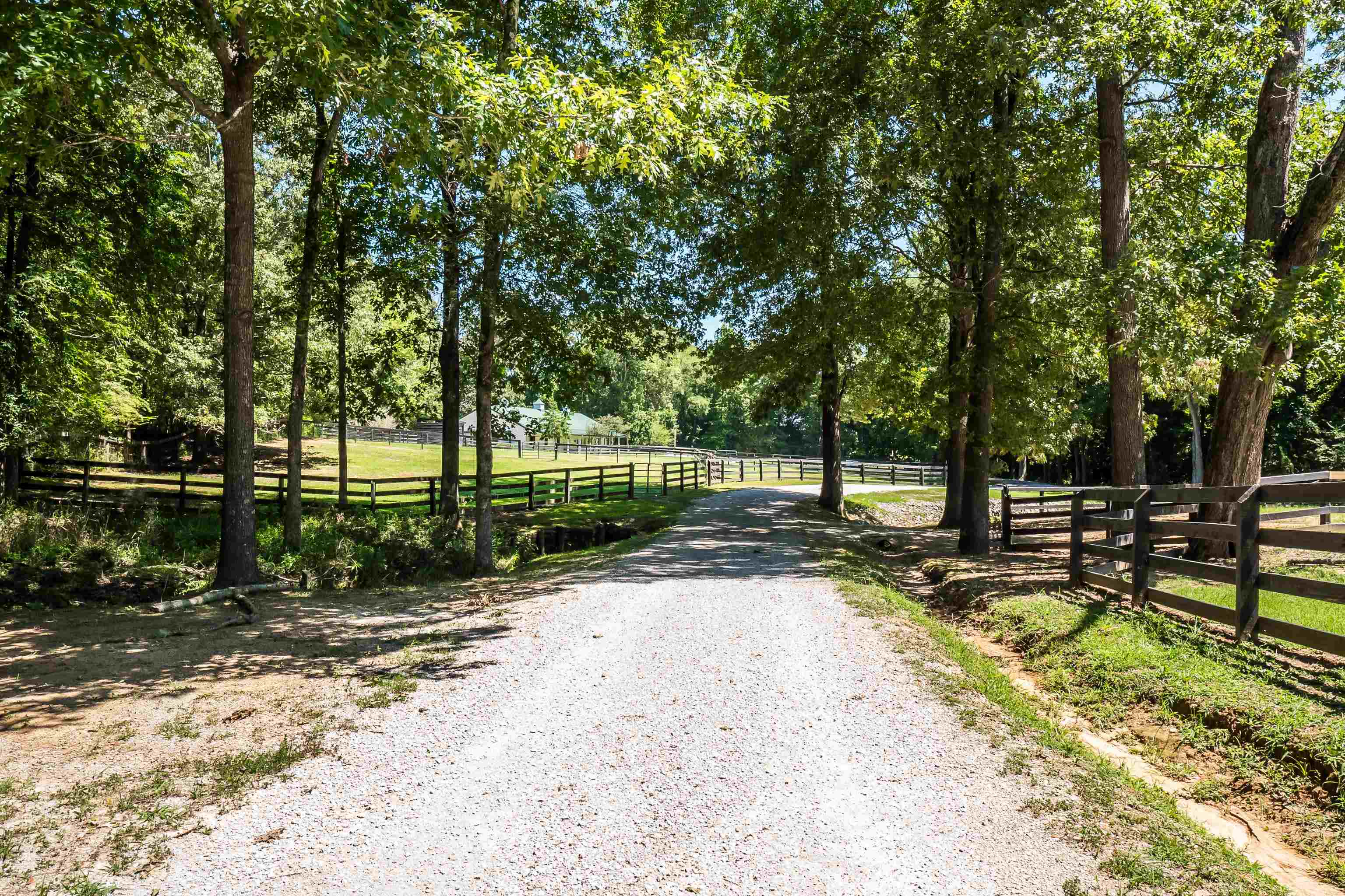 11830 Monterey Road Eads, TN 38028 - Photo 34 of 40 Gallery Image 34