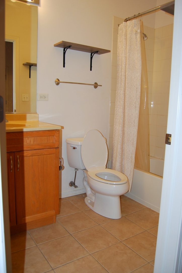 1431 South Halsted Street, Unit 3A Chicago, IL 60607 - Photo 12 of 12