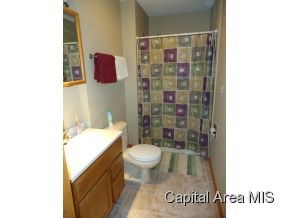 46 Axline Road Chatham, IL 62629 - Photo 15 of 24 Gallery Image 15