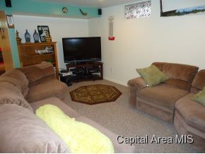 46 Axline Road Chatham, IL 62629 - Photo 20 of 24 Gallery Image 20