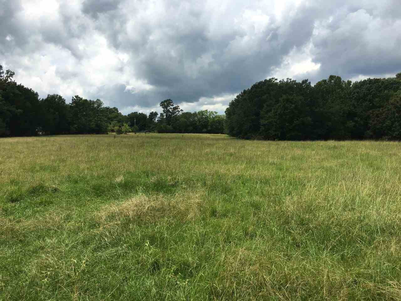 334 Dampeer Road Canton, MS 39046 - Photo 3 of 7 Photo 3