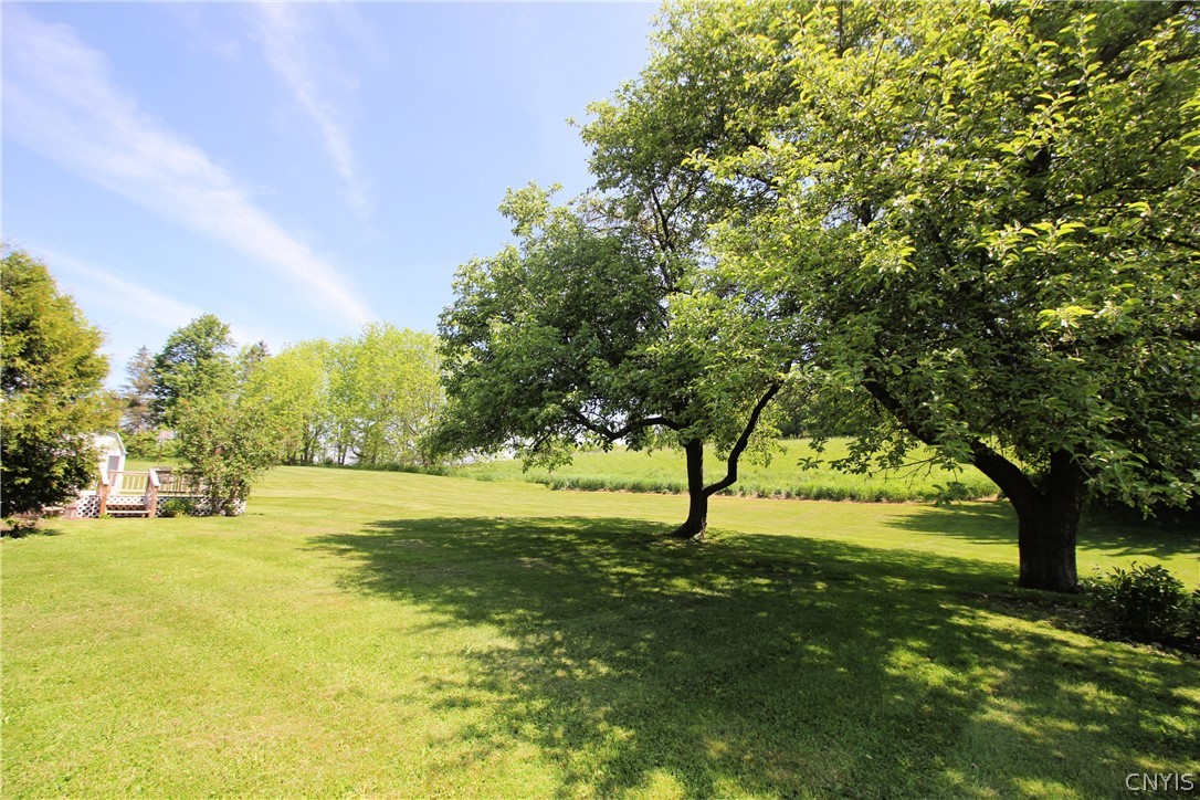 3878 Davis Corners Road Eaton, NY 13408 - Photo 4 of 34