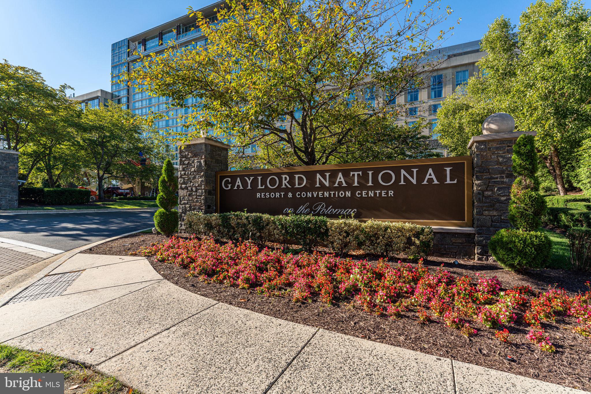 515 Riversail Lane National Harbor, MD 20745 - Photo 32 of 48 Gallery Image 32