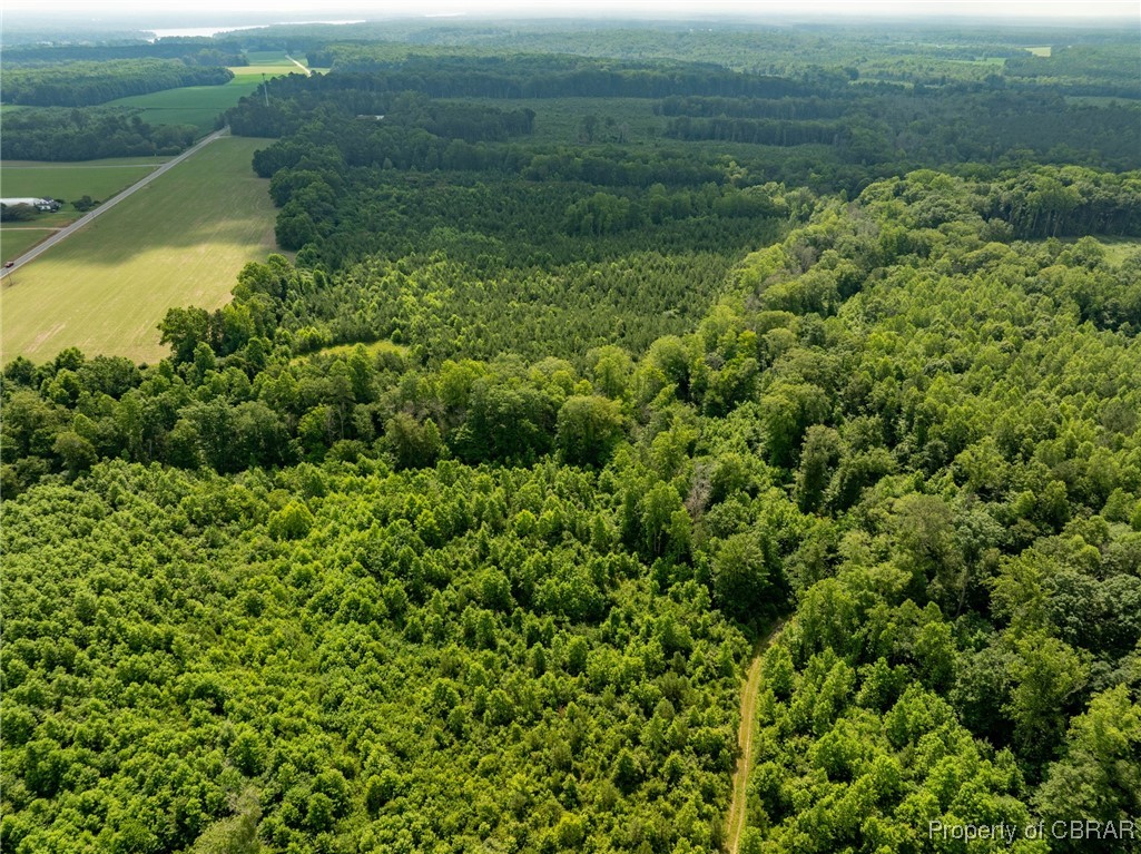 138-acres Dutton Road Gloucester, VA 23061 - Photo 24 of 37 Gallery Image 24