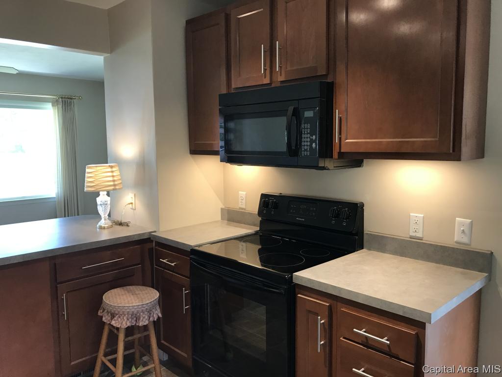 3336 South Palmer Street Springfield, IL 62703 - Photo 5 of 20