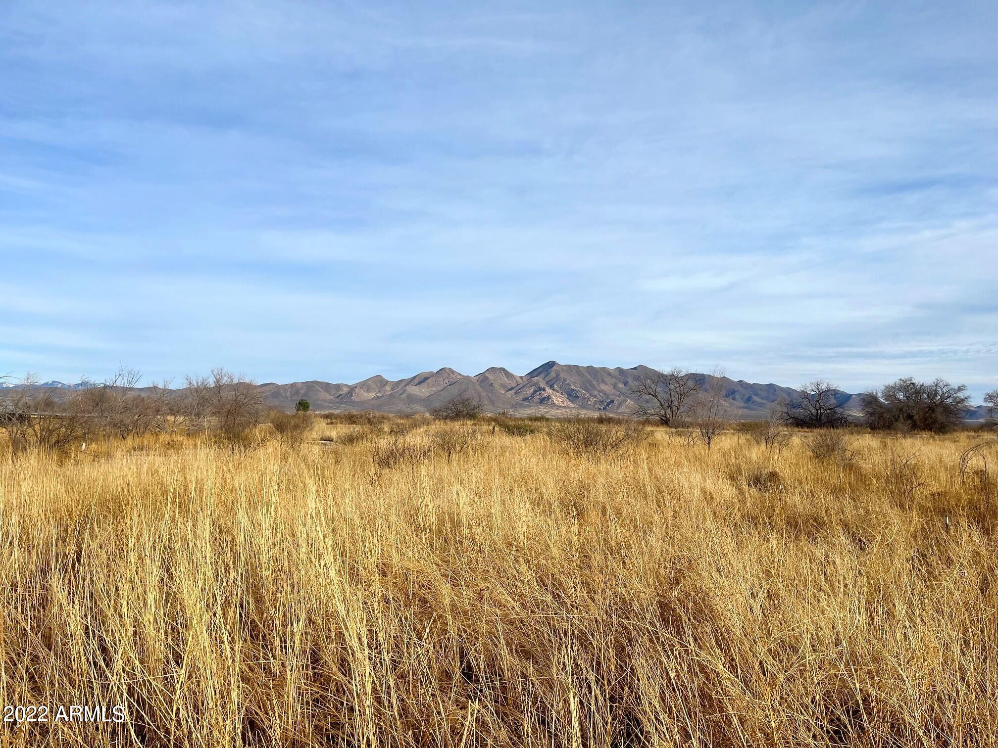 3690 West Gleeson Road Elfrida, AZ 85610 - Photo 24 of 25 Mountain Views