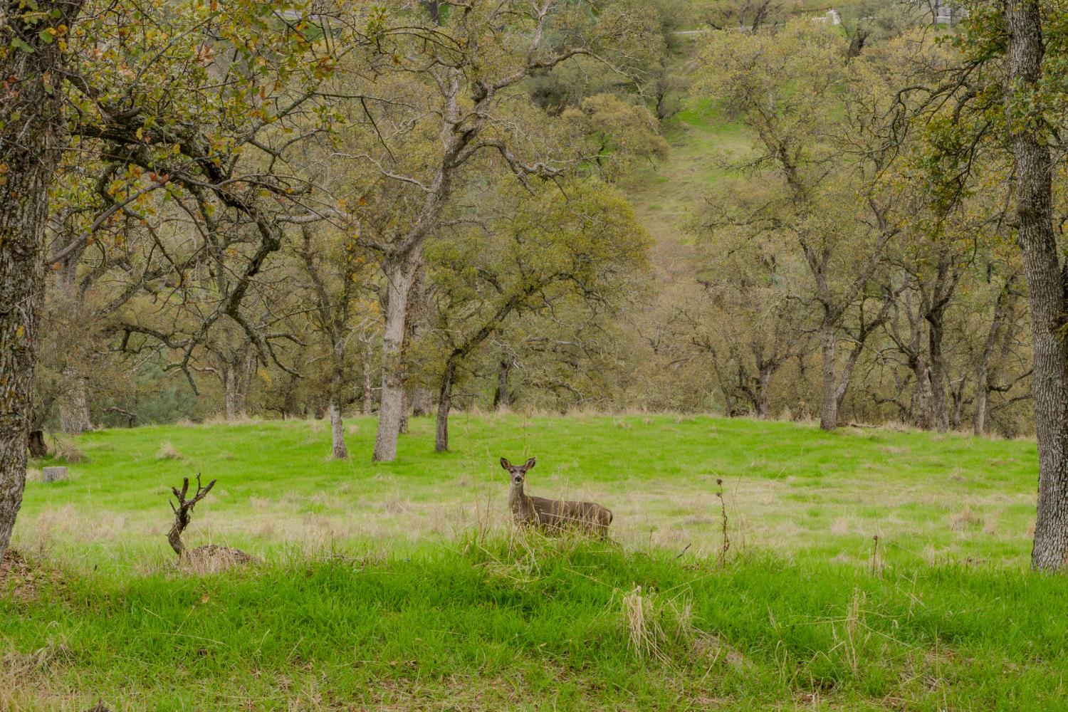 a view of a park