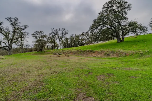 a view of a field with trees